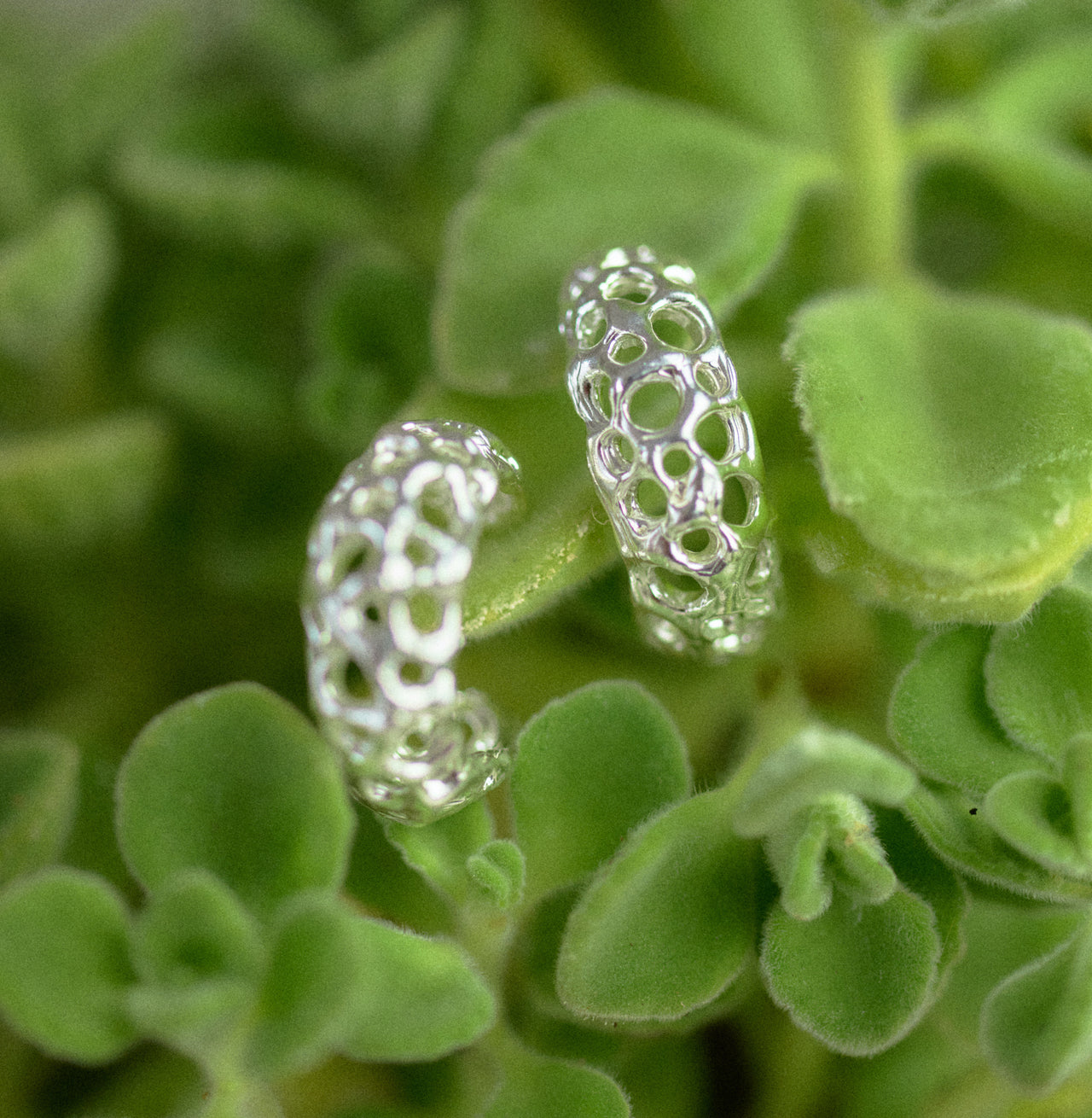 Favo earrings